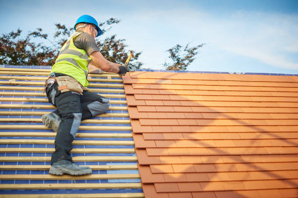 Best Metal Roofing Installation  in Grover, WY
